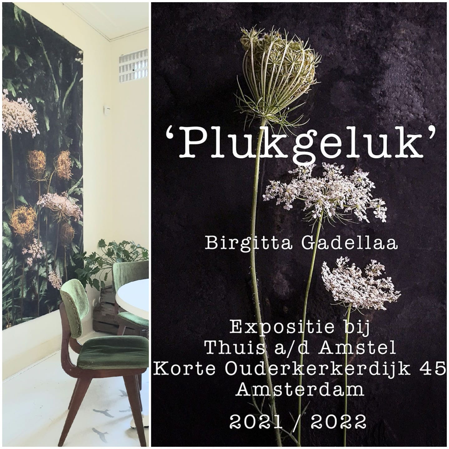 plukgeluk een expositie van Birgitta Gadellaa